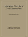 Quantum Gravity in 2+1 Dimensions