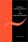 Credit, Investments and the Macroeconomy: A Few Open Issues / Edition 1