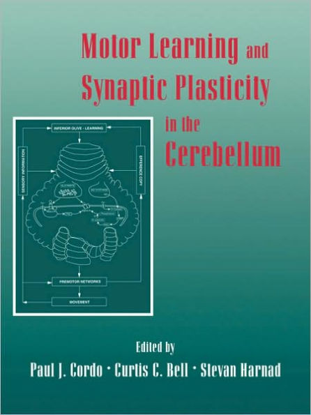 Motor Learning and Synaptic Plasticity in the Cerebellum / Edition 1
