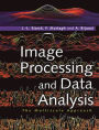 Image Processing and Data Analysis: The Multiscale Approach