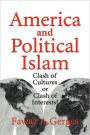 America and Political Islam: Clash of Cultures or Clash of Interests?