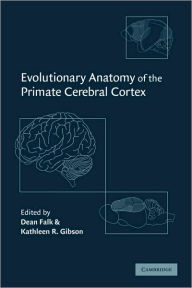 Title: Evolutionary Anatomy of the Primate Cerebral Cortex / Edition 1, Author: Dean Falk