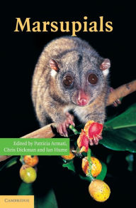 Title: Marsupials, Author: Patricia J. Armati