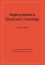 Supersymmetric Quantum Cosmology