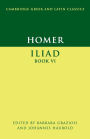 Homer: Iliad Book VI