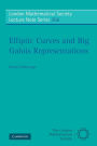 Elliptic Curves and Big Galois Representations