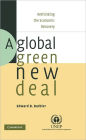 A Global Green New Deal: Rethinking the Economic Recovery