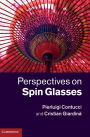 Perspectives on Spin Glasses