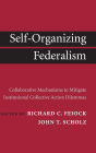 Self-Organizing Federalism: Collaborative Mechanisms to Mitigate Institutional Collective Action Dilemmas