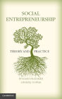 Social Entrepreneurship: Theory and Practice