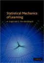 Statistical Mechanics of Learning