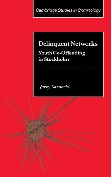 Delinquent Networks: Youth Co-Offending in Stockholm / Edition 1