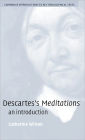 Descartes's Meditations: An Introduction / Edition 1