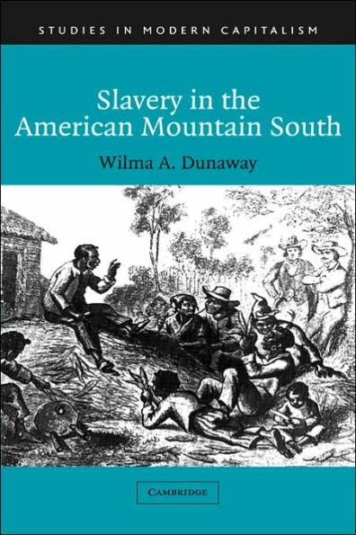 Slavery in the American Mountain South