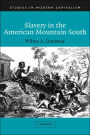 Slavery in the American Mountain South