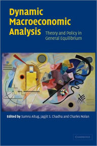 Title: Dynamic Macroeconomic Analysis: Theory and Policy in General Equilibrium, Author: Sumru Altug