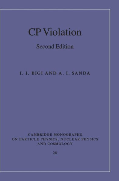 CP Violation / Edition 2
