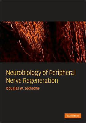 Neurobiology of Peripheral Nerve Regeneration