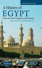 A History of Egypt: From the Arab Conquest to the Present / Edition 2