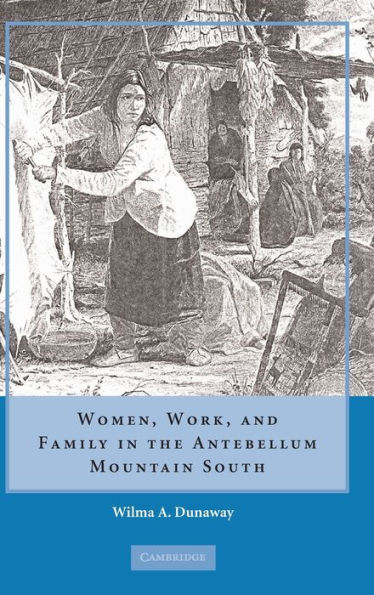 Women, Work and Family in the Antebellum Mountain South