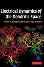 Electrical Dynamics of the Dendritic Space