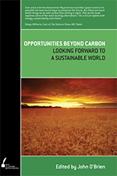 Opportunities Beyond Carbon: Looking Forward to a Sustainable World