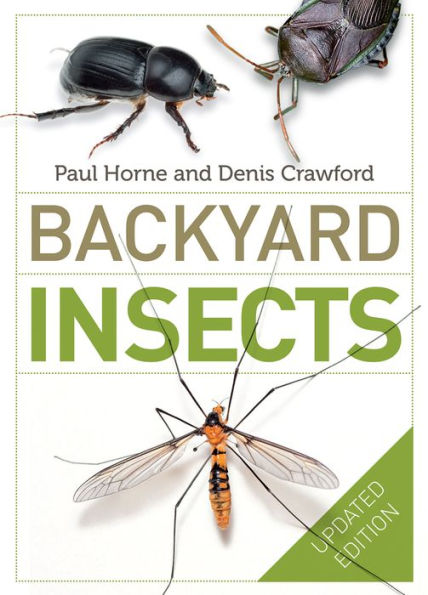 Backyard Insects Updated Edition