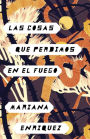 Las cosas que perdimos en el fuego (Things We Lost in the Fire)