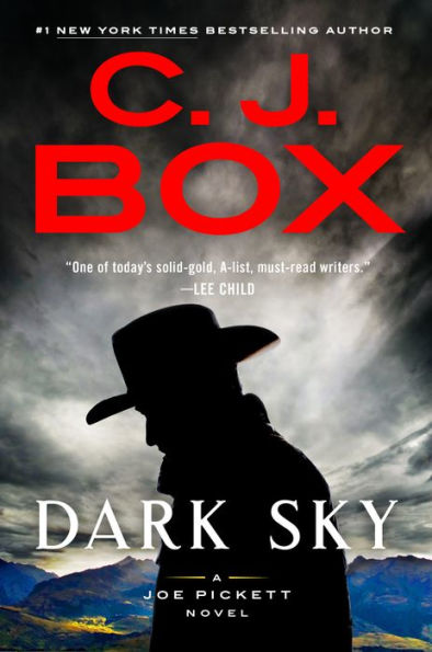 Dark Sky (Joe Pickett Series #21)