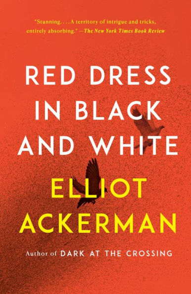 Red Dress Black and White: A novel