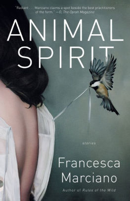 Animal Spirit: Stories