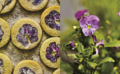 Alternative view 12 of The Side Gardener: Recipes & Notes from My Garden