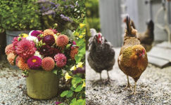 Alternative view 3 of The Side Gardener: Recipes & Notes from My Garden