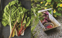 Alternative view 10 of The Side Gardener: Recipes & Notes from My Garden