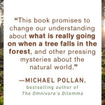 Alternative view 4 of Finding the Mother Tree: Discovering the Wisdom of the Forest