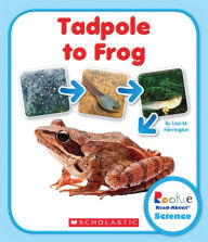 Title: Tadpole to Frog, Author: Lisa M. Herrington