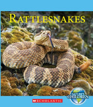 Title: Rattlesnakes, Author: Josh Gregory