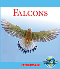 Title: Falcons, Author: Katie Marsico