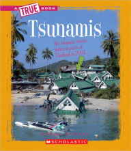 Title: Tsunamis (A True Book: Earth Science), Author: Chana Stiefel