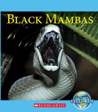 Title: Black Mambas, Author: Vicky Franchino