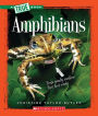 Amphibians