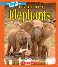 Title: Elephants, Author: Katie Marsico