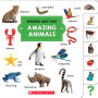 Amazing Animals