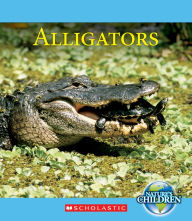 Title: Alligators, Author: Timothy M. Daly