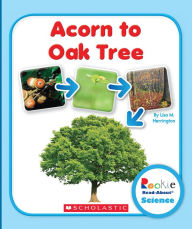 Title: Acorn to Oak Tree, Author: Lisa M. Herrington