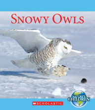 Title: Snowy Owls, Author: Jennifer Zeiger