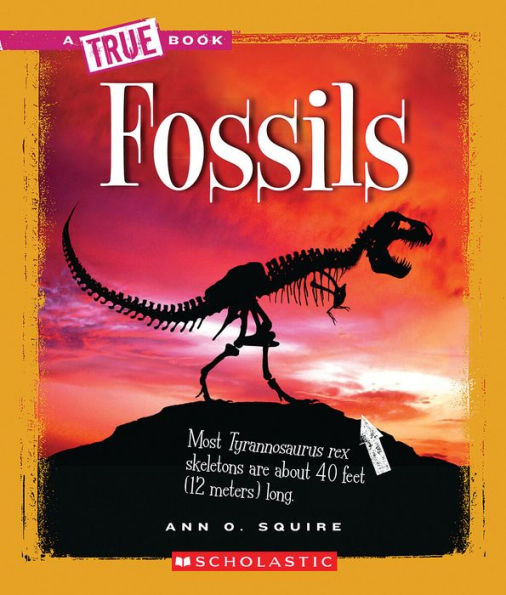 Fossils