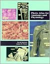 Title: Photo Atlas for Anatomy and Physiology / Edition 1, Author: David Morton