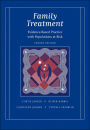 Family Treatment: Evidence-Based Practice with Populations at Risk / Edition 4