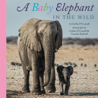Title: A Baby Elephant in the Wild, Author: Caitlin O'Connell